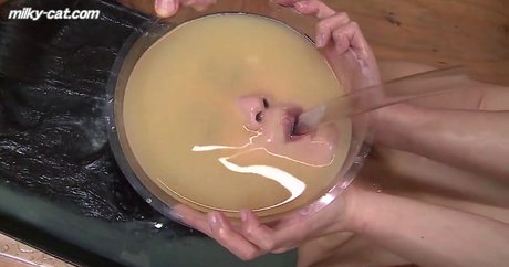 milky cat erotische beste galerien