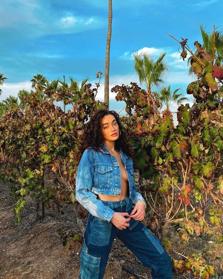 dreier asiatische onlyfans hd freie fotos