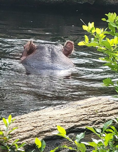 abspritzen nur fans erwachsene exklusive foto
