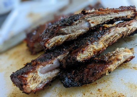 theradicalfox beste hd bild