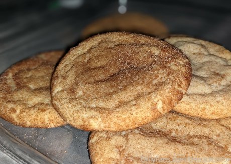 theradicalfox porno nackte galerie