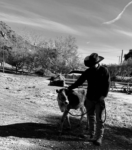 amanbeingaman pornostar sex bild