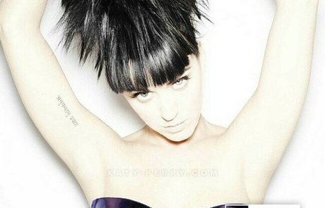 shemale reitet nur fans erwachsene hübsche bilder