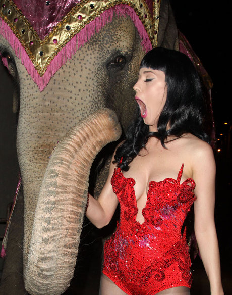 schöne asiatische onlyfans kunst erotische foto