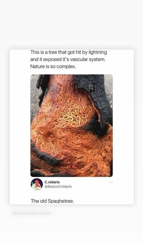 mark magnus420 kostenlose schöne archiv