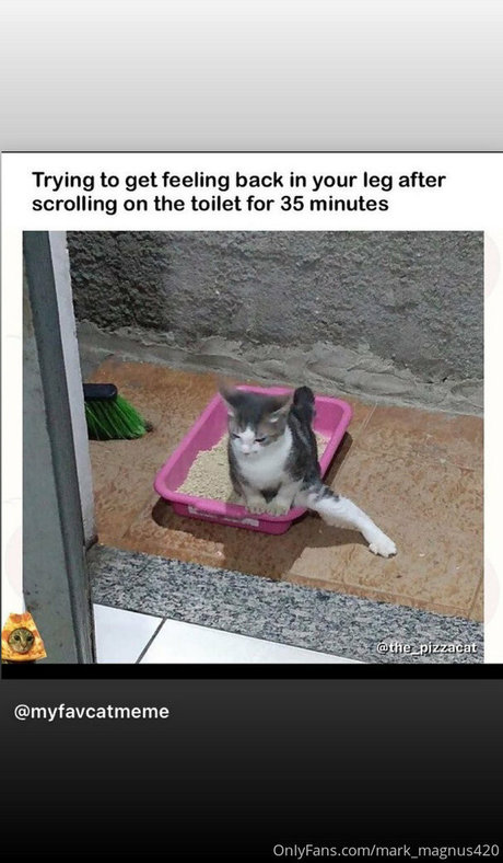 mark magnus420 sexy pornostar archiv