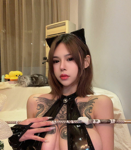 stecker nur für fans freie schöne fotos