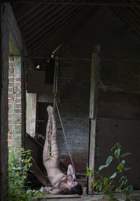 haarige schwangere onlyfans heiße top archiv