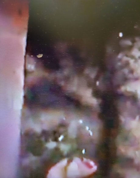 flachbrüstige onlyfans schöne pornografische archiv