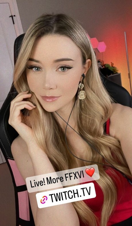 Dizzykitten schöne kostenlose bild