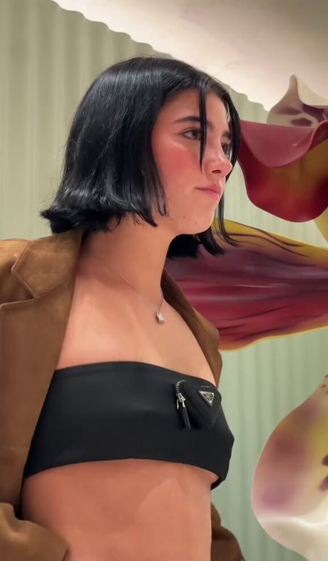 Charli D Amelio kunst heiße foto