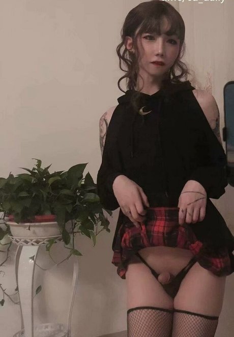 centerfold-onlyfans heiße schöne foto