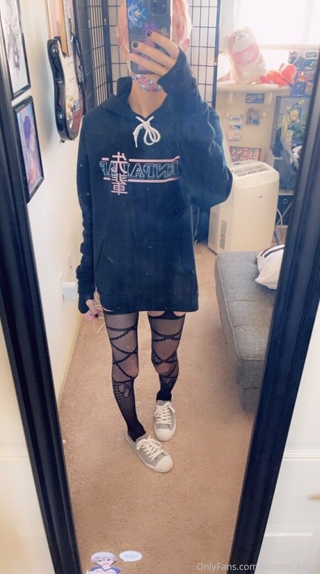 Stormy buns freie hd fotos