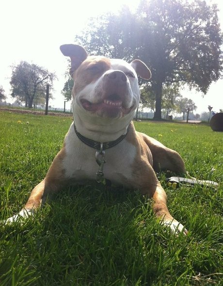 ebenholz top onlyfans exklusive kunst foto