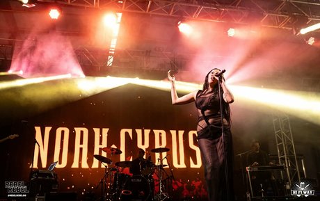 transen deepthroat onlyfans top hd archiv