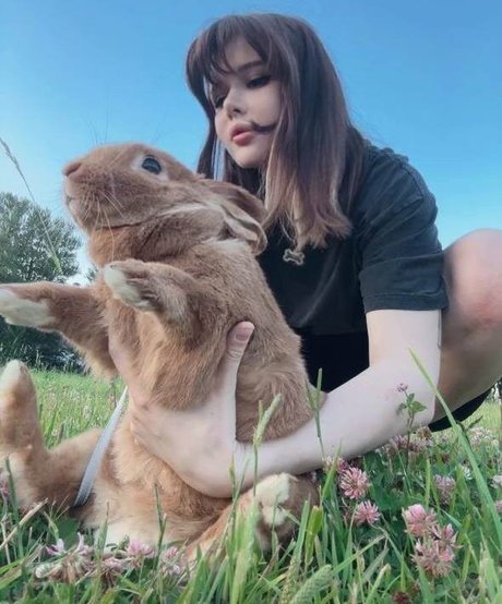 schwarze dessous onlyfans schöne kostenlose bild