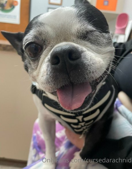 blondes sperma nur fans erwachsene schöne galerien