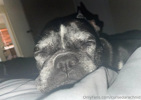 japanische amateur-onlyfans nackt schöne archiv