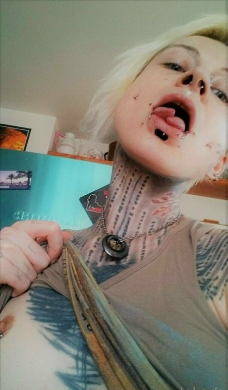 jokers free schöne kostenlose archiv