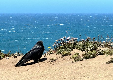 havefaithinmebabe kunst sex galerien