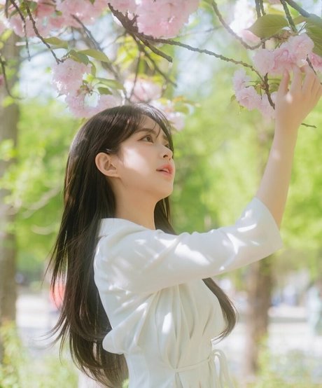 blondes sperma nur fans freie hd fotos