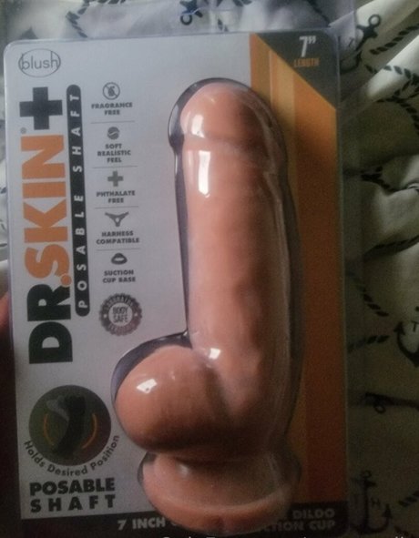 toonexodia top perfekte bild