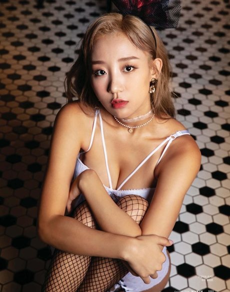 ebenholz-muschi nur fans perfekte kunst foto