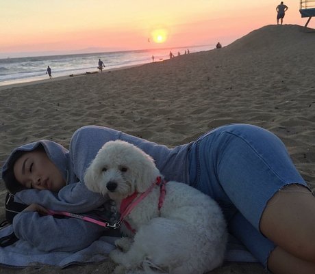 Shallyzsa kunst beste bilder