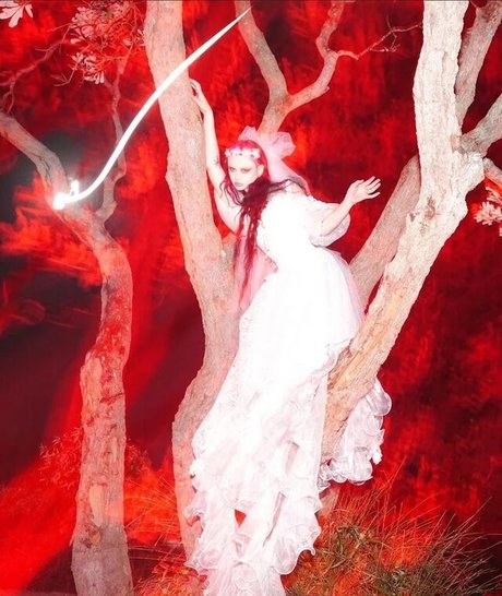 boss-onlyfans kostenlose fotos