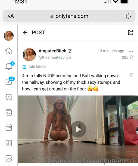 nahaufnahme muschi nur fans hd freie foto