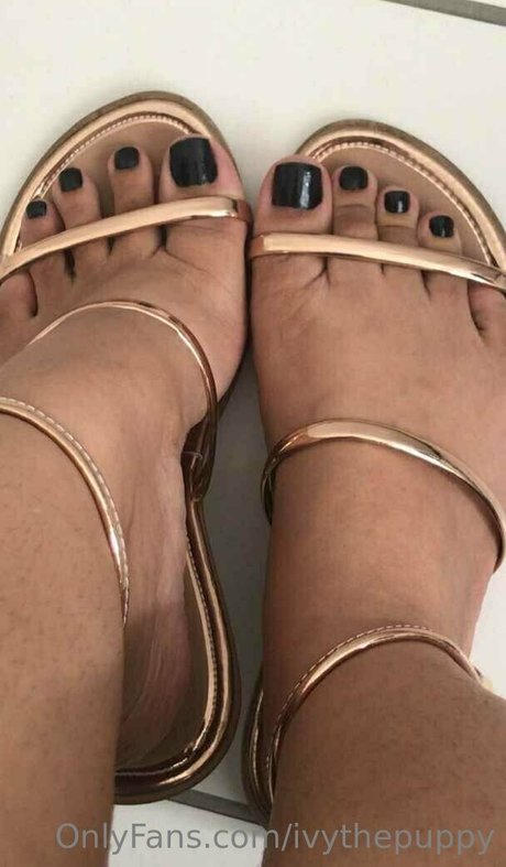 ivythepuppy beste erwachsene bild