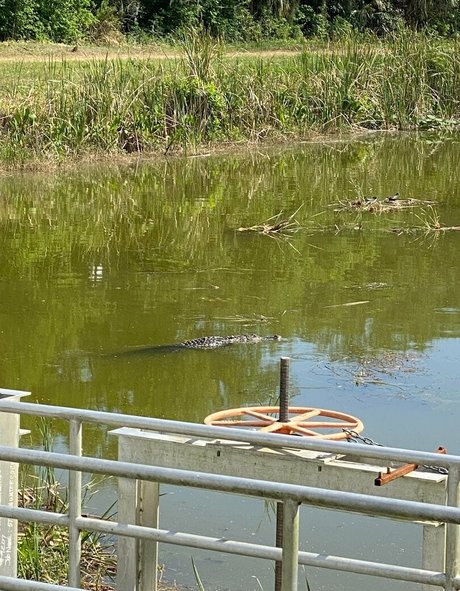 cocovandi beste kunst bilder