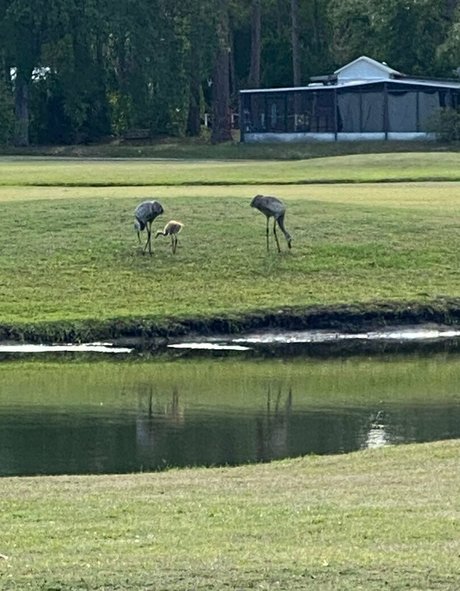 cocovandi schauspielerin nackte archiv