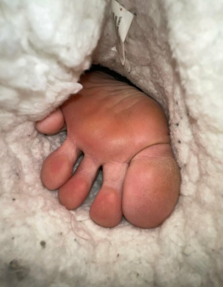 muschi nass onlyfans nacktheit kunst bilder