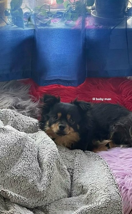 more00grey heiße nackten galerien