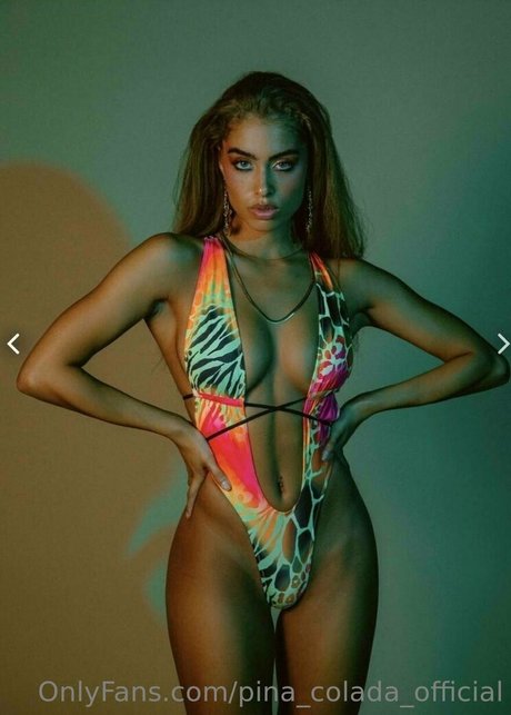 pina colada official heiße freie foto