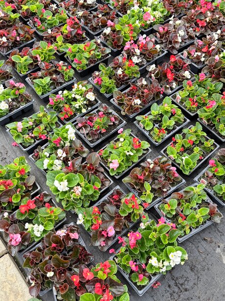 muschi nass onlyfans top perfekte bild