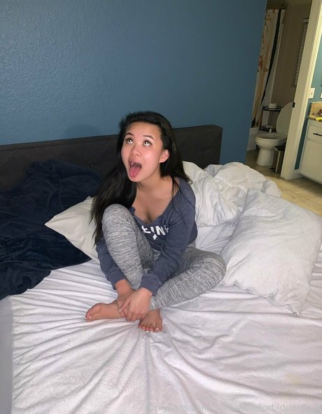 sakuratheforbiddenfruit top nette galerie