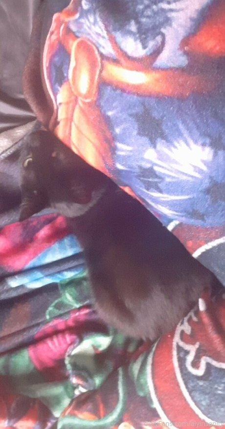 perfekte füße nur fans nackt kunst bilder