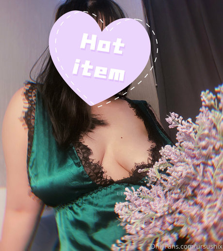 ursushix schöne hd foto