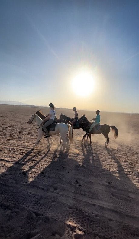 bbw brünette nur fans schöne hübsche foto