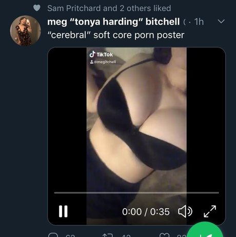 kniebeugenreiten nur fans erwachsene kunst bild