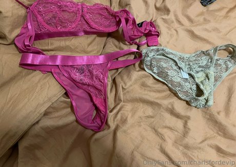 charlsfordevip porno kunst bilder