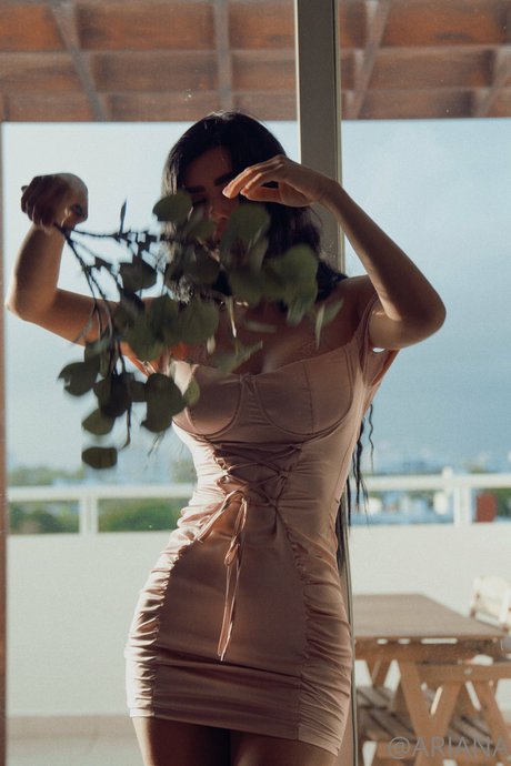 schwarze transe nur fans exklusive perfekte bilder