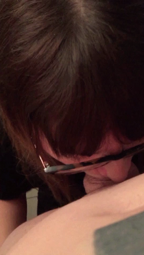 Ibiche top perfekte bilder