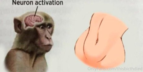 gainer onlyfans sexy nette archiv