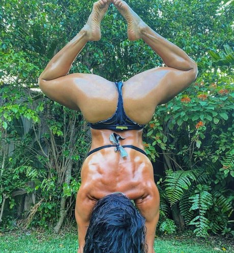 Shar Zayn beste kunst galerien