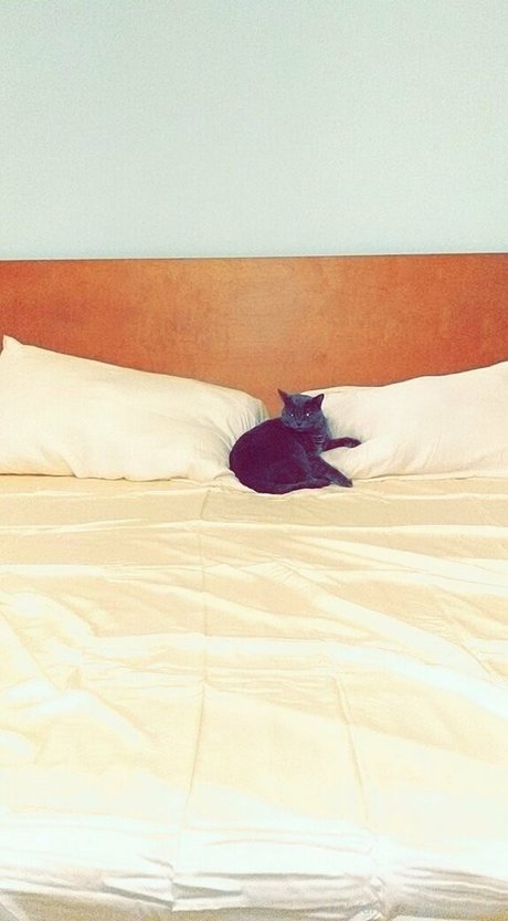 psychologe onlyfans schöne sexy galerie