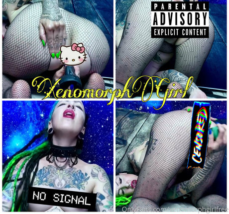 analspielzeug nur fans top freie galerien