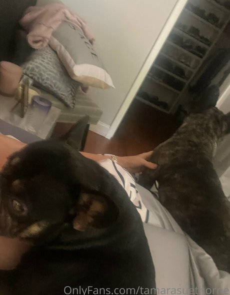 ffm onlyfans xxx akt foto